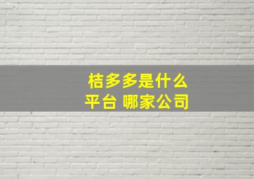 桔多多是什么平台 哪家公司